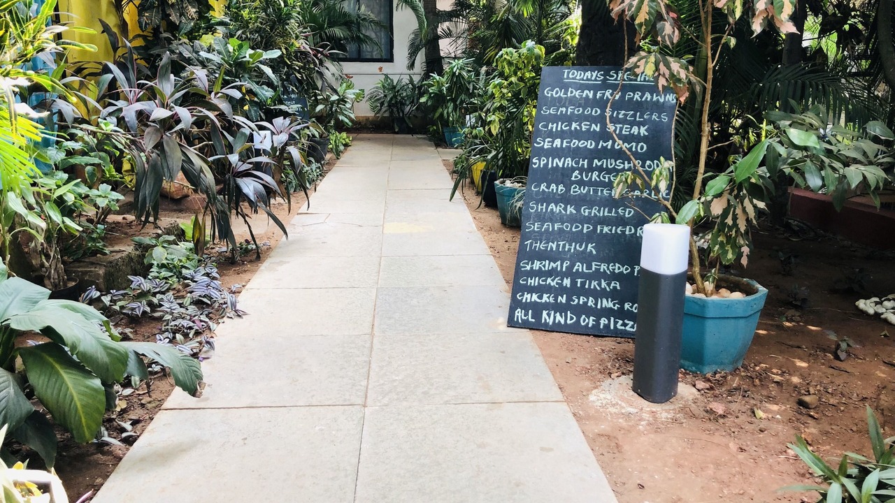 Photo of Outdoor in Arambol