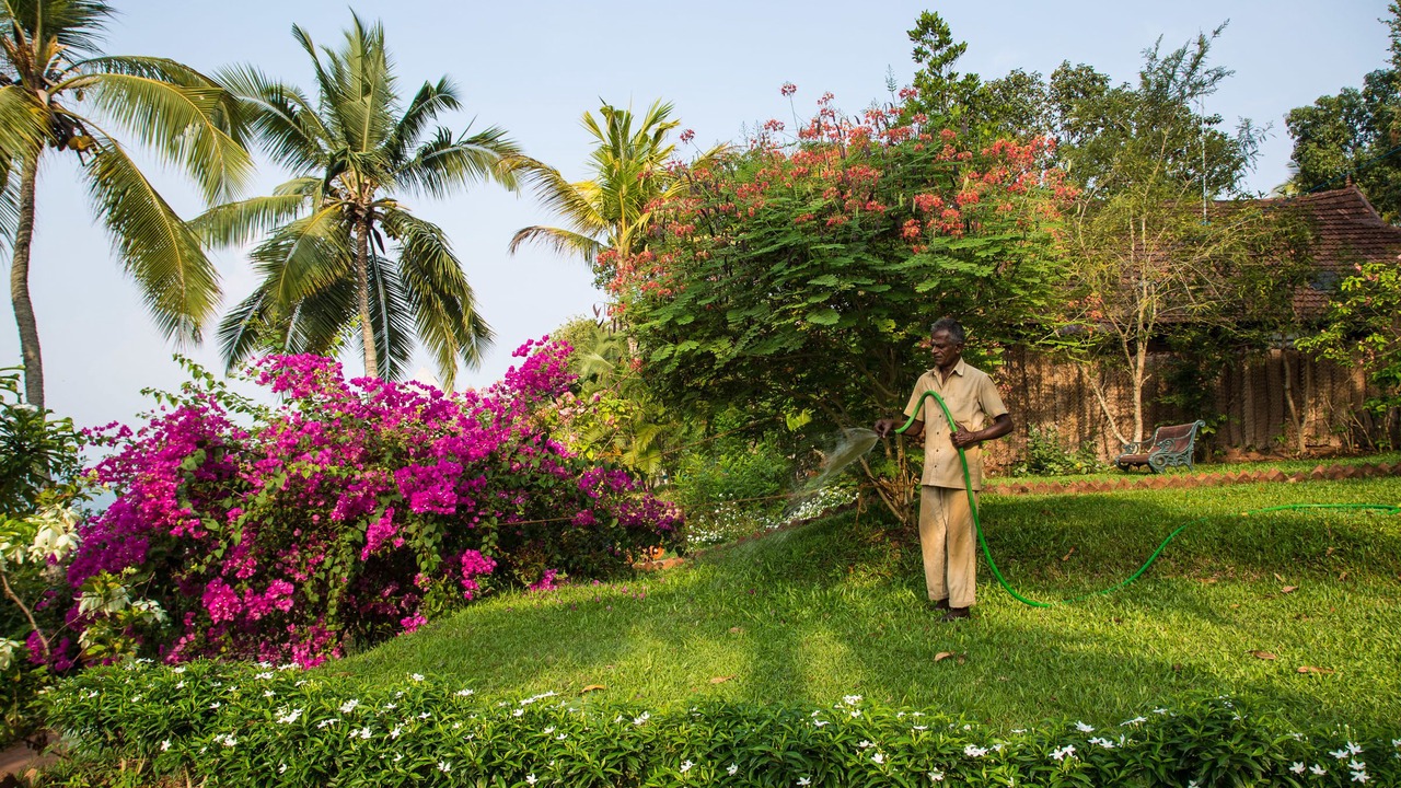 Photo of Outdoor in Chowara