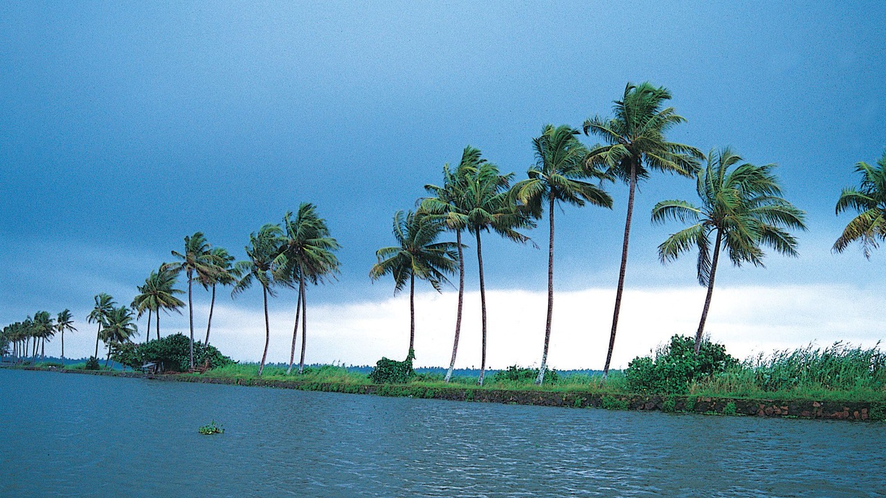 Photo of Others in Kumarakom