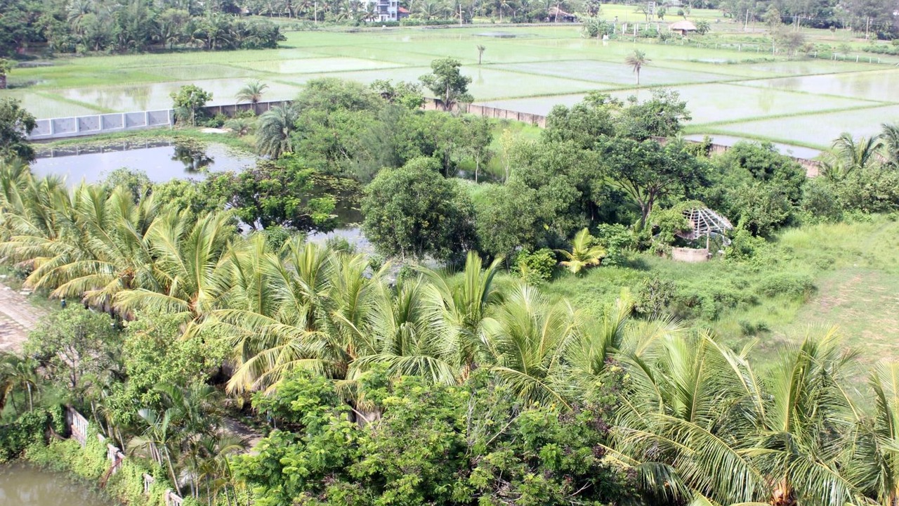 Photo of Outdoor in Bakkhali
