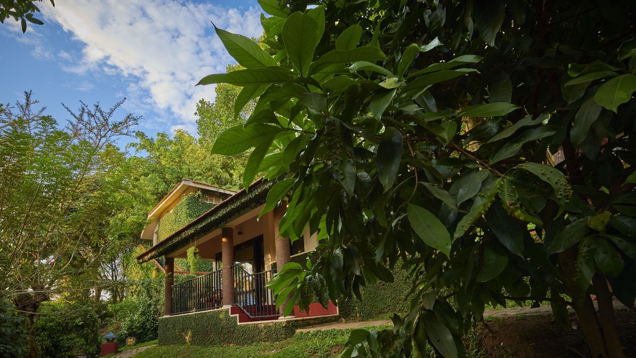 Photo of Outdoor in Kumily