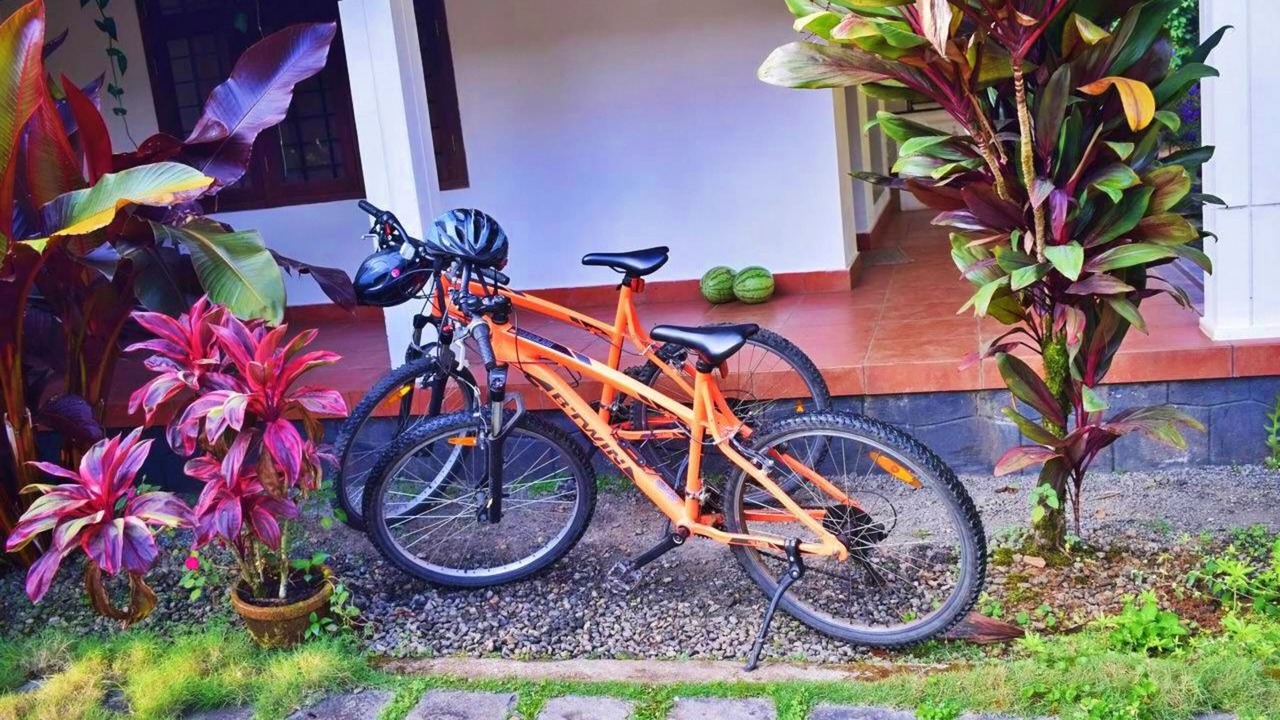 Photo of Outdoor in Devikolam