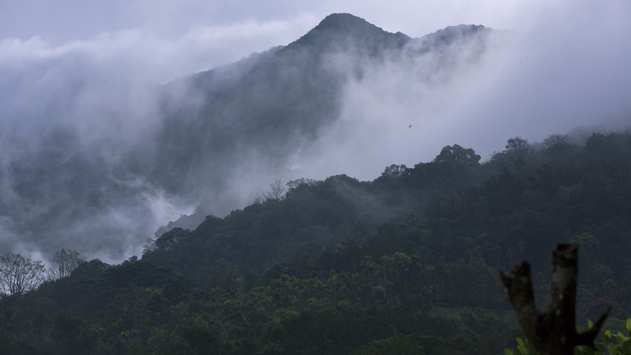 Photo of Outdoor in Kunnathidavaka