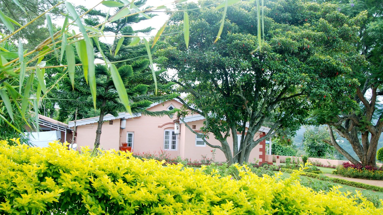 Photo of Outdoor in Coonoor