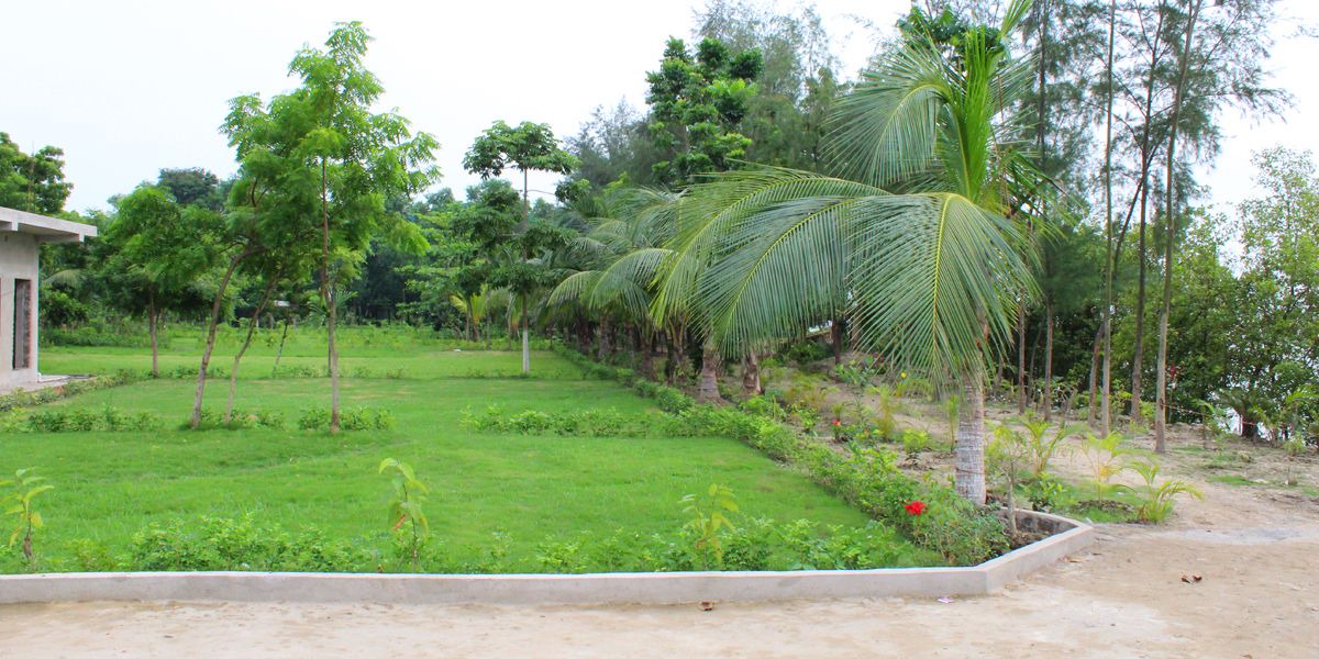Photo of Outdoor in Noorpur