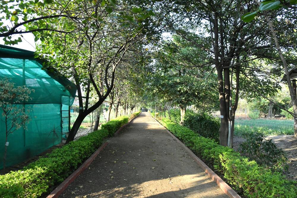 Photo of Outdoor in Mansar