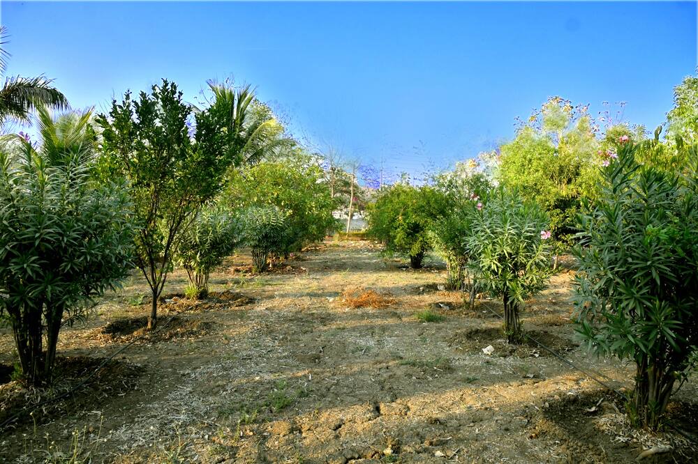 Photo of Outdoor in Mansar