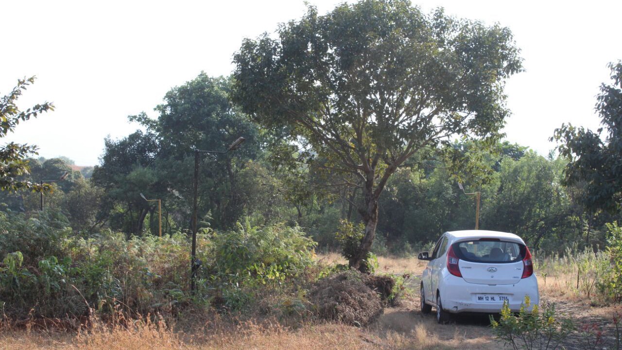 Photo of Outdoor in Medha