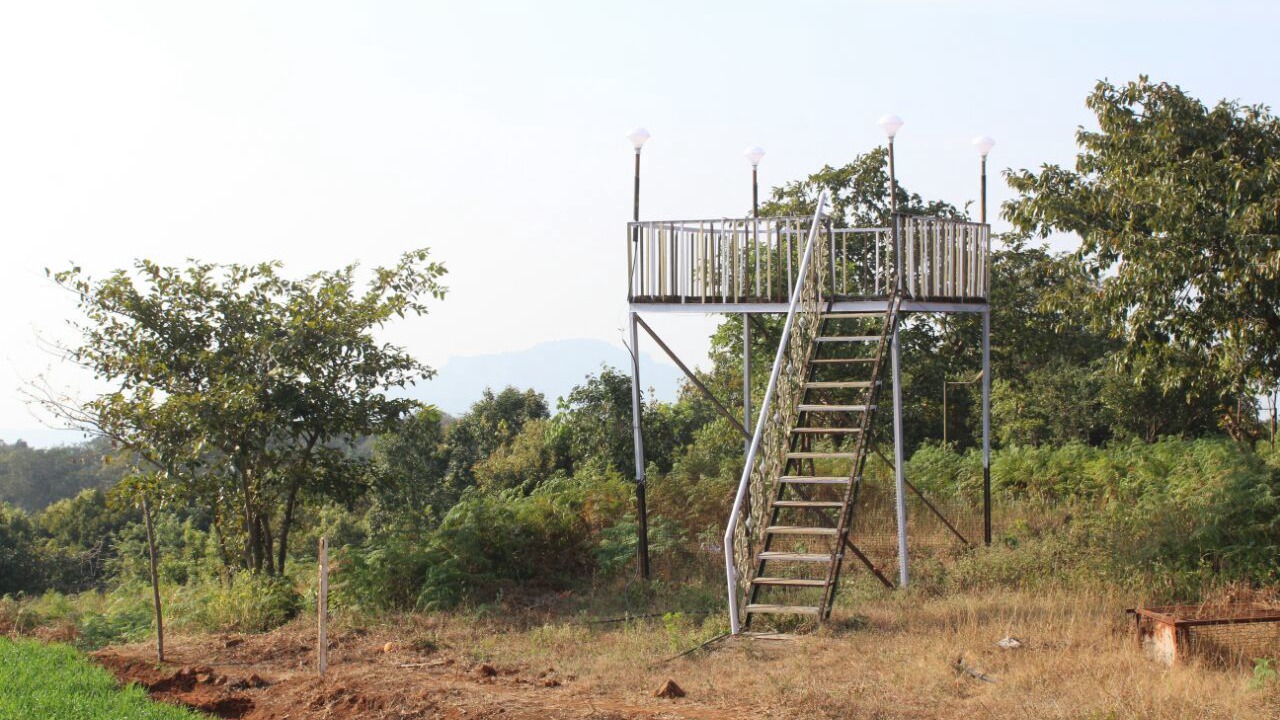 Photo of Outdoor in Medha