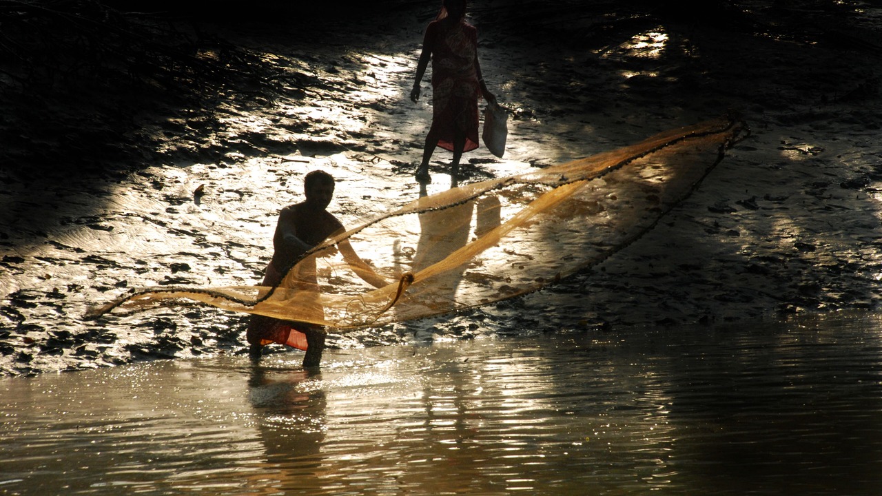 Photo of Others in Dayapur