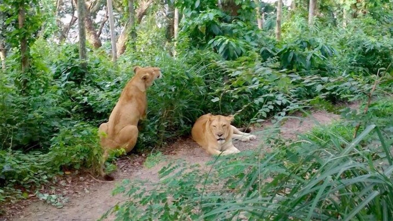 Photo of Others in Neyyattinkara