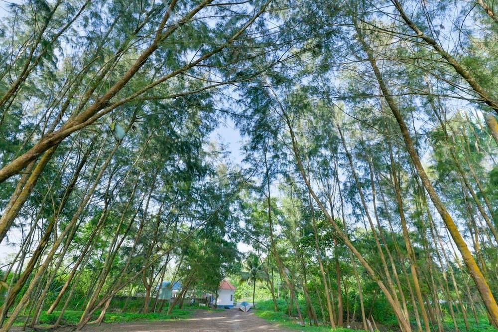 Photo of Outdoor in Alappuzha