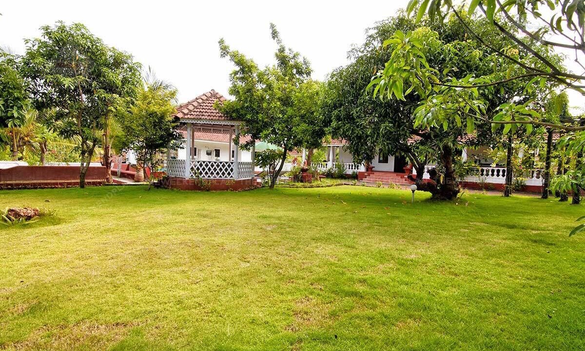 Photo of Outdoor in Assagao