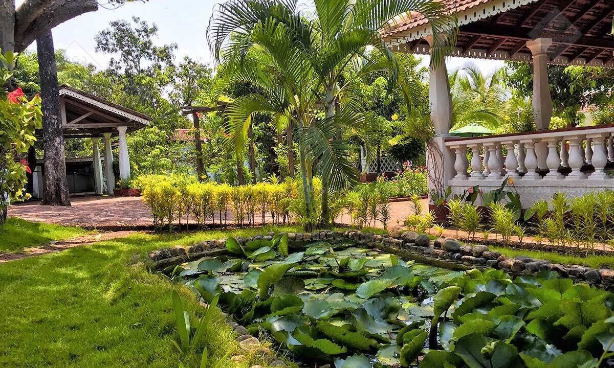 Photo of Outdoor in Assagao
