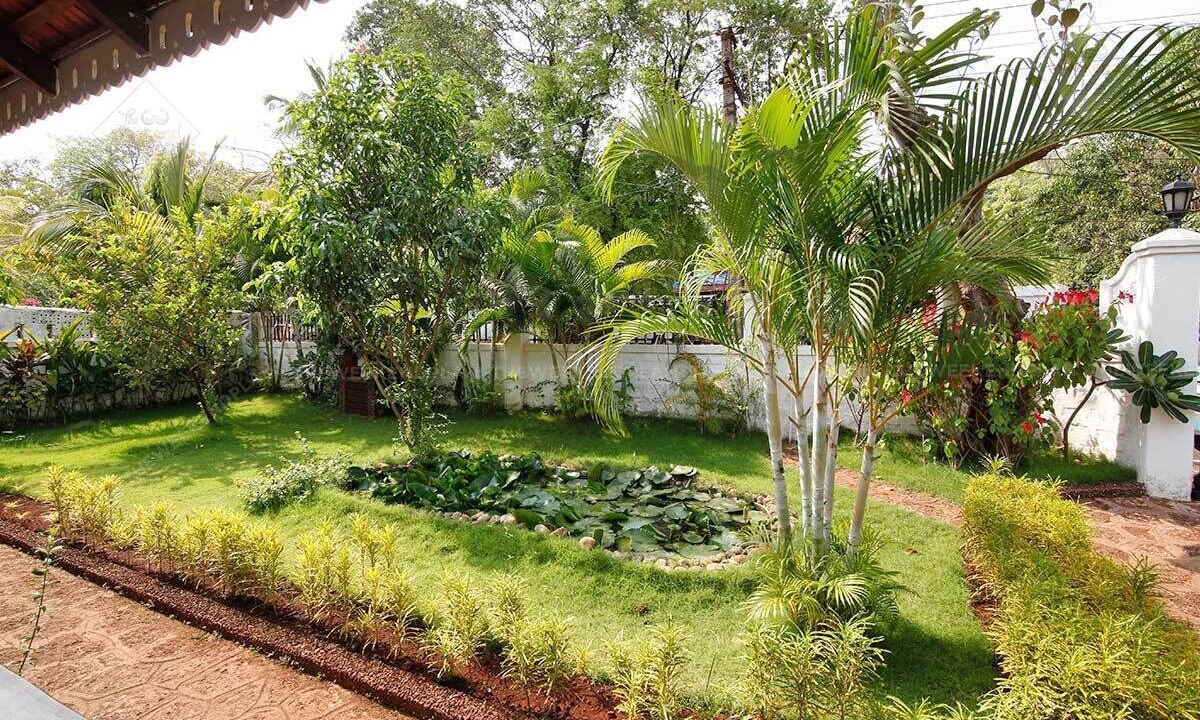 Photo of Outdoor in Assagao