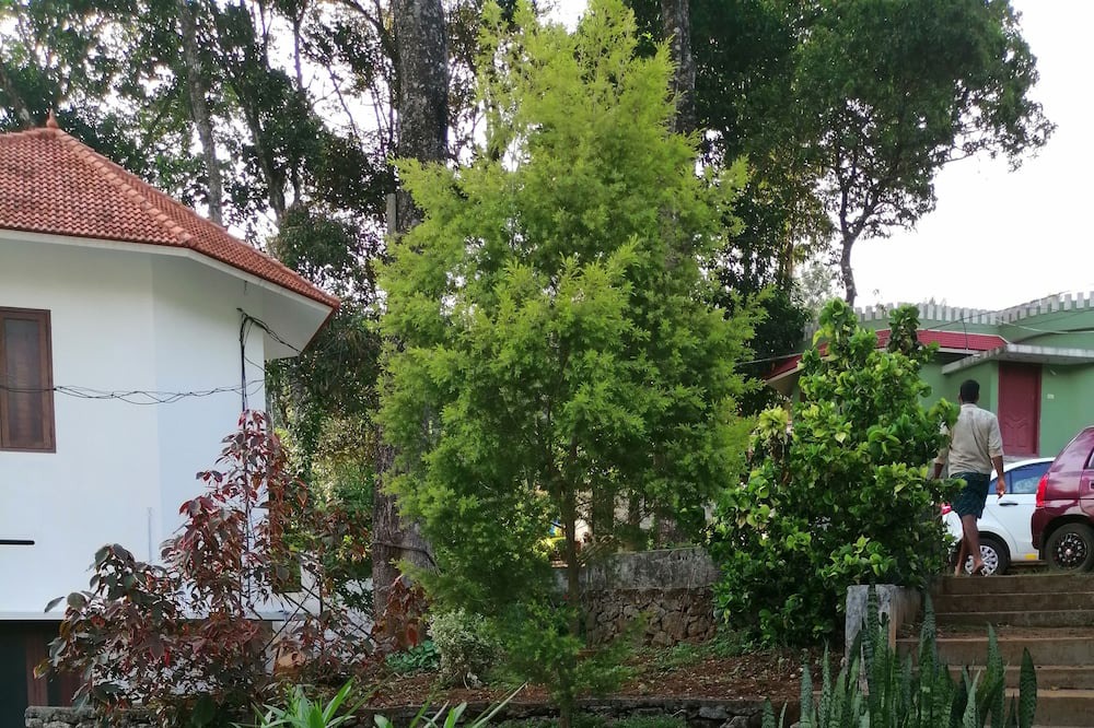 Photo of Outdoor in Santhanpara