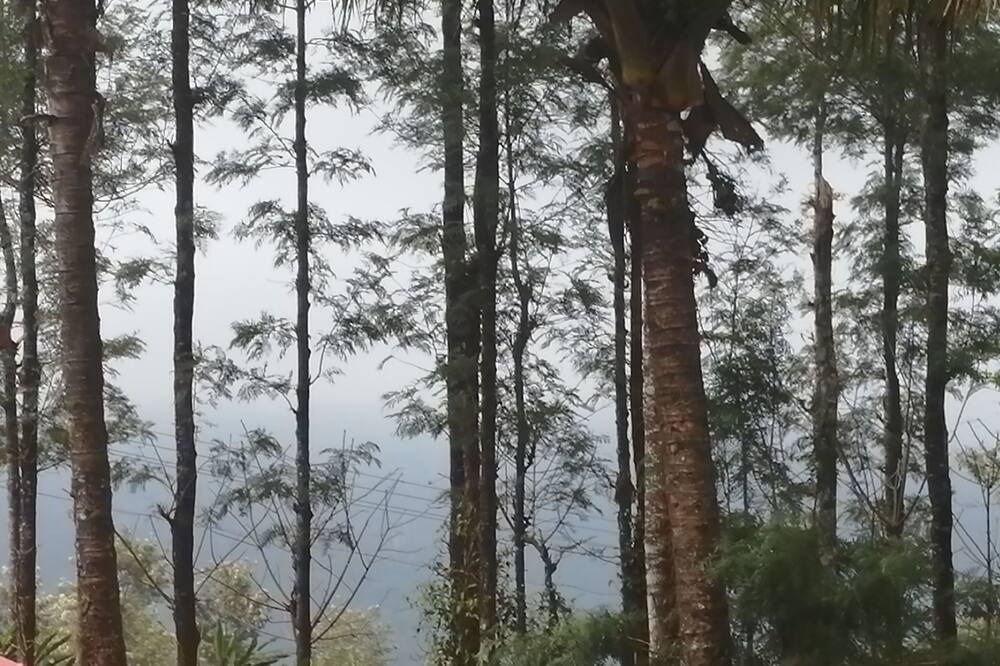 Photo of Patio Balcony in Santhanpara