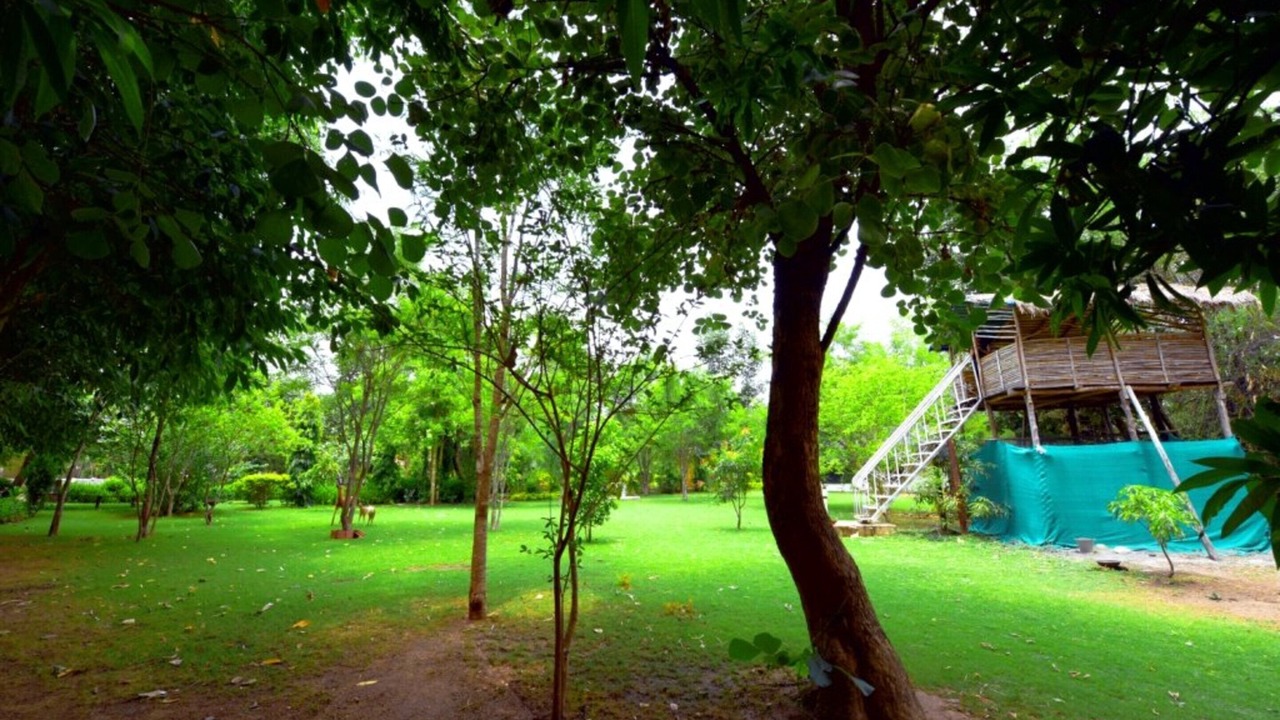 Photo of Outdoor in Avarghani