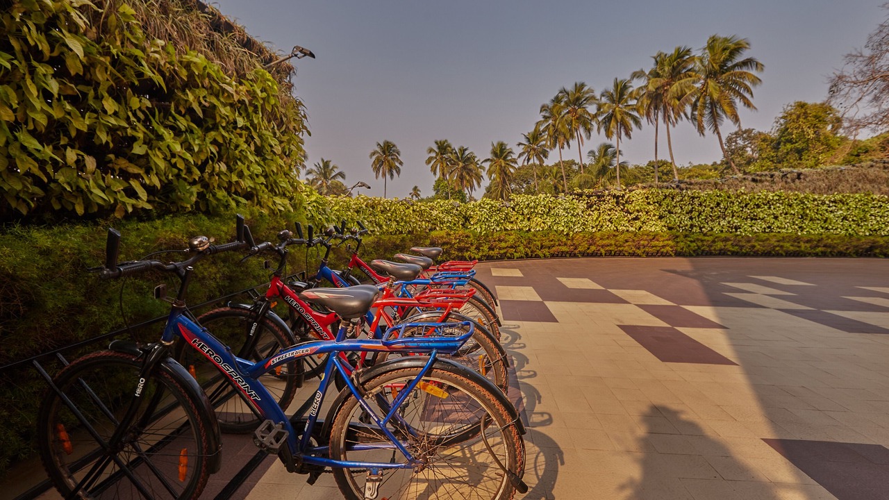 Photo of Outdoor in Arambol