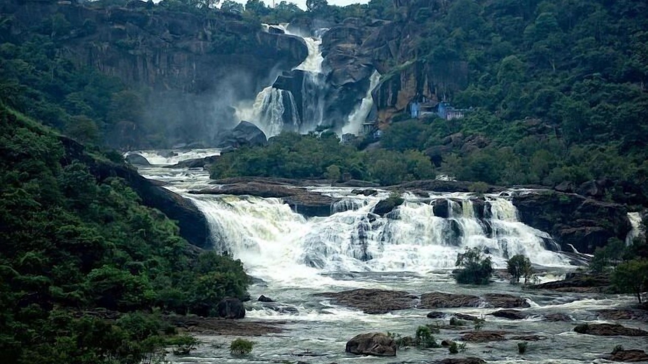Photo of Others in Shenkottai