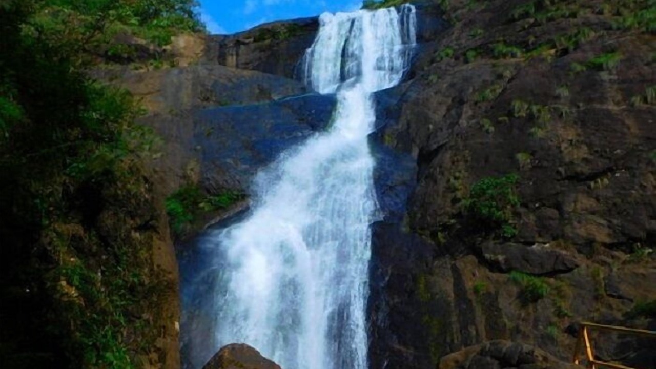 Photo of Others in Shenkottai