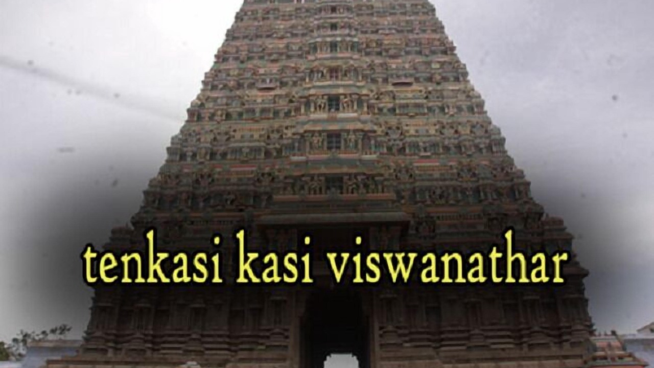 Photo of Others in Shenkottai