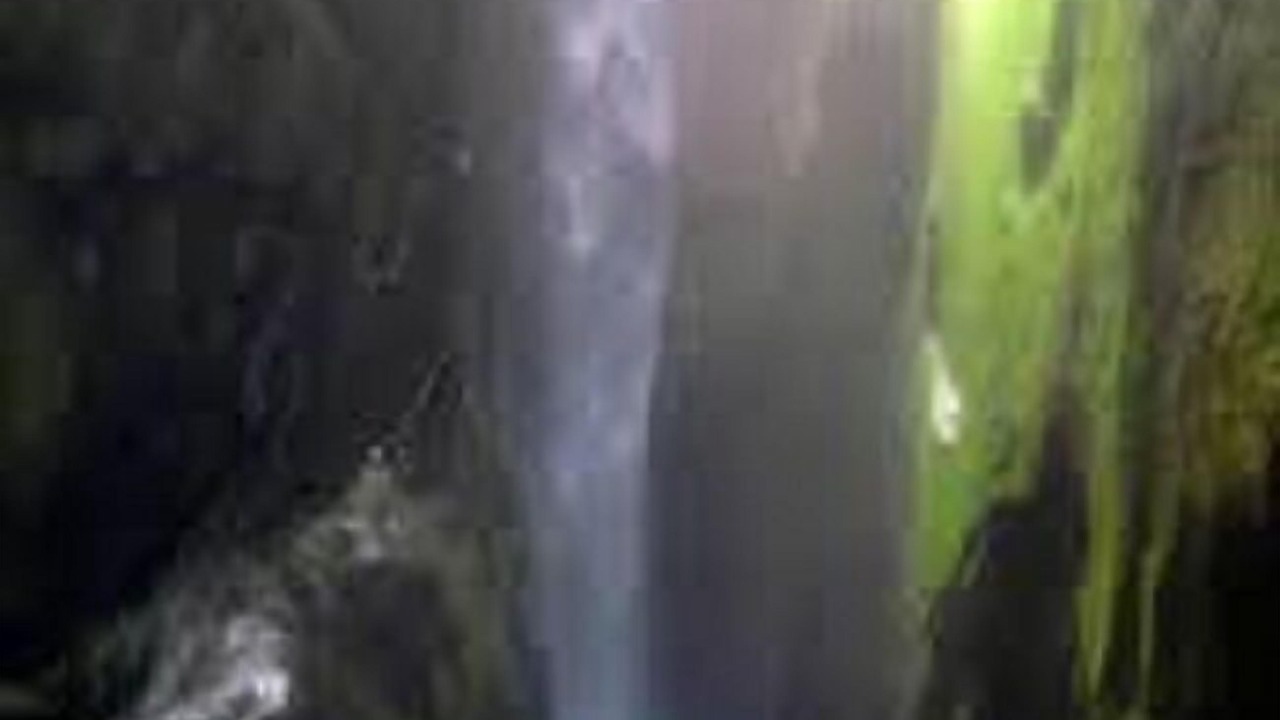 Photo of Others in Shenkottai