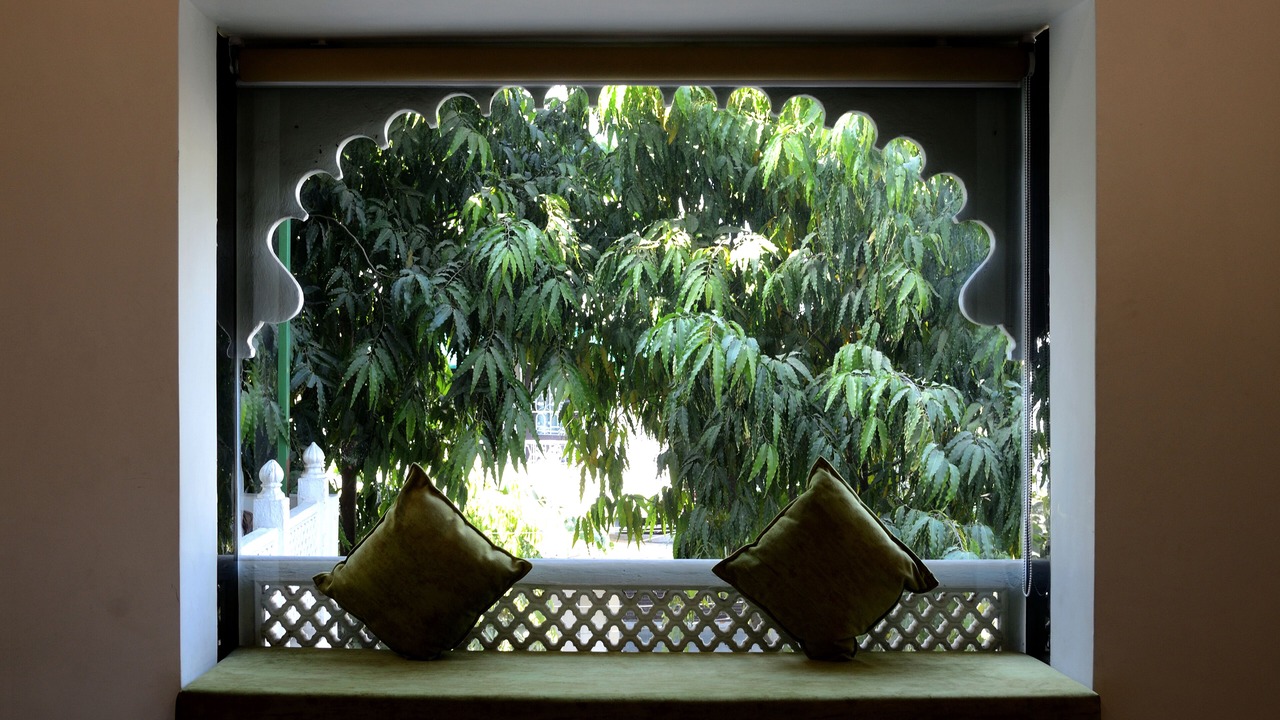 Photo of Others in Lake Pichola