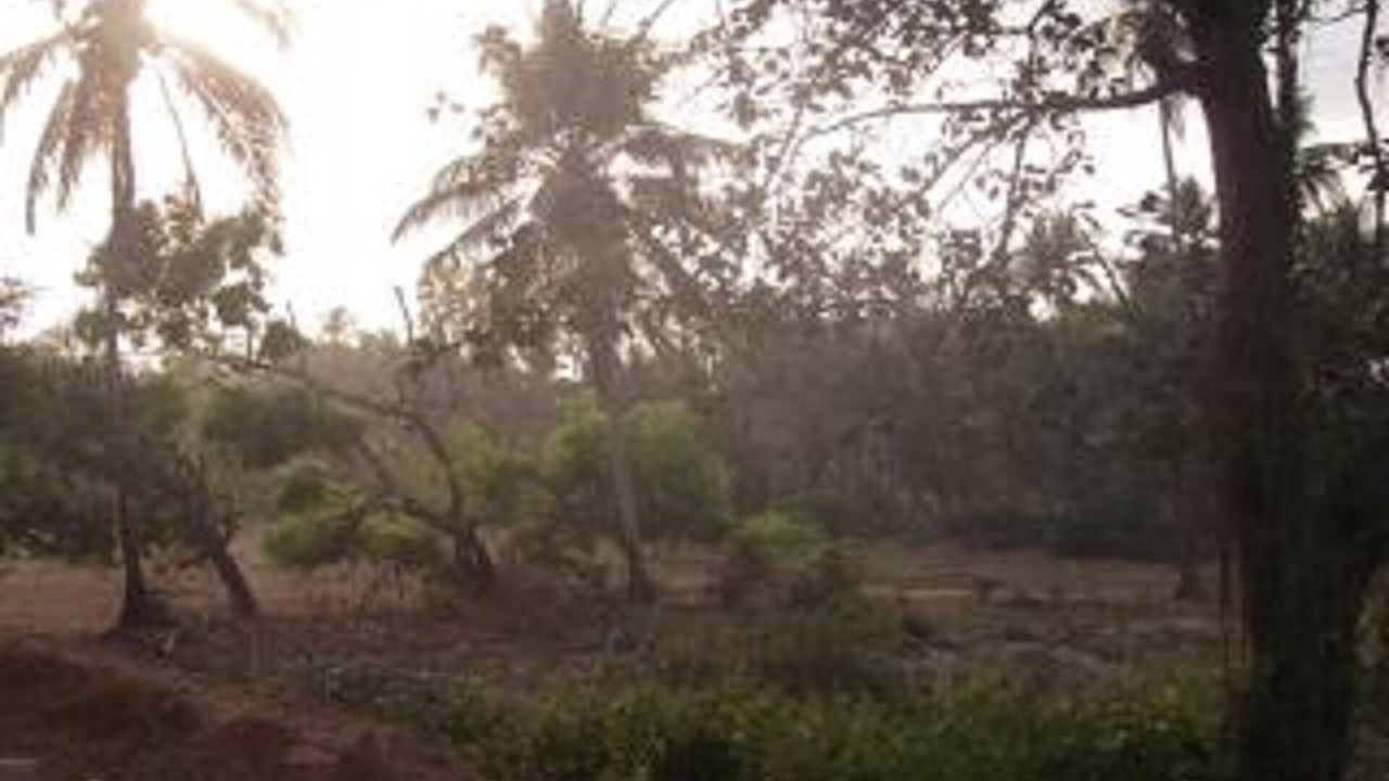 Photo of Outdoor in Arossim