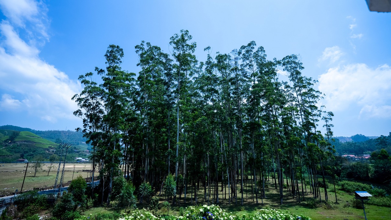 Photo of Outdoor in Moolakadai
