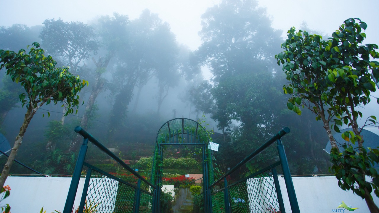 Photo of Outdoor in Moolakadai
