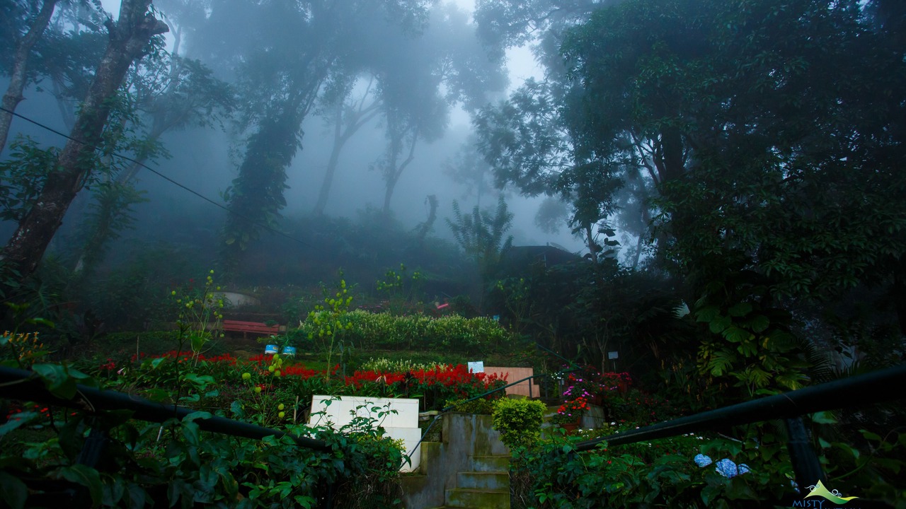 Photo of Outdoor in Moolakadai