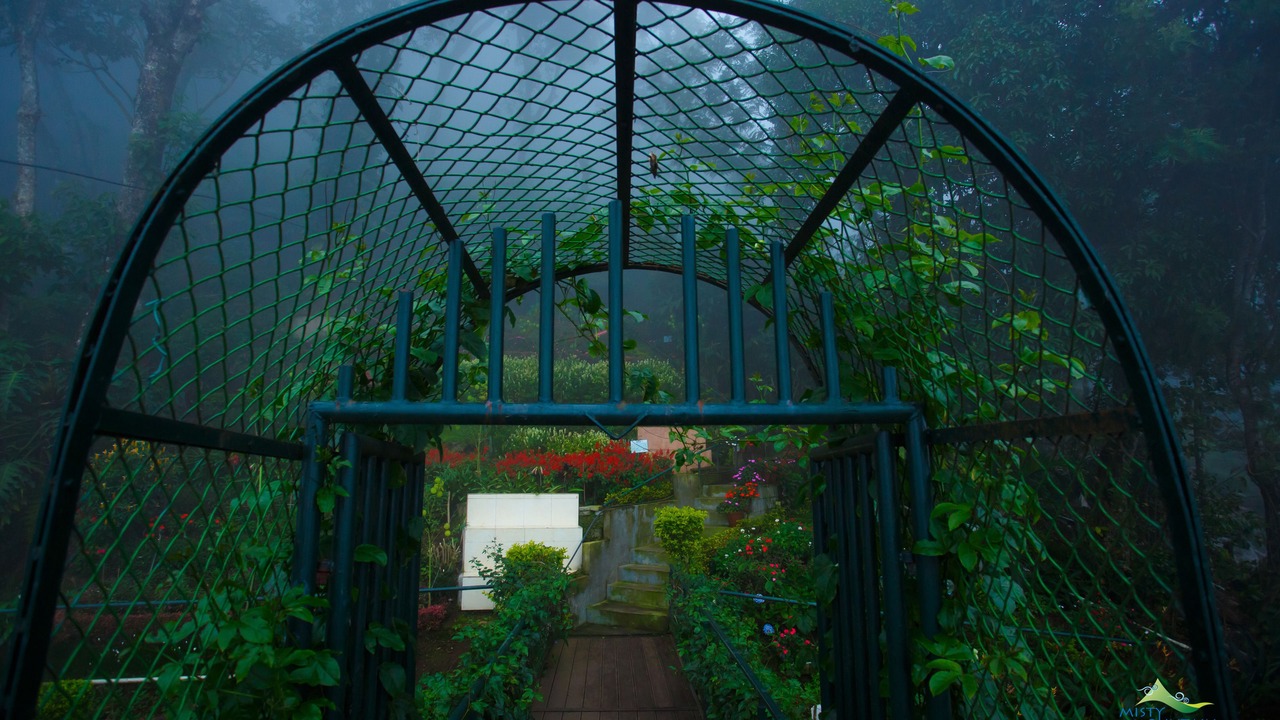 Photo of Outdoor in Moolakadai