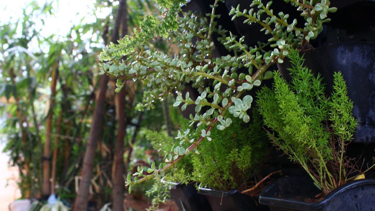 Photo of Outdoor in Injambakkam