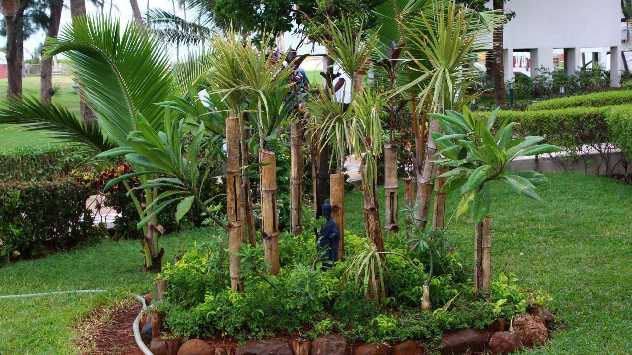 Photo of Outdoor in Injambakkam