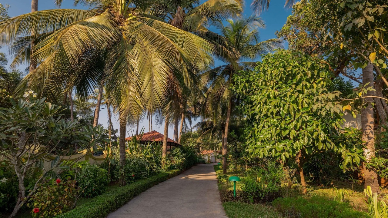 Photo of Outdoor in Divar Island