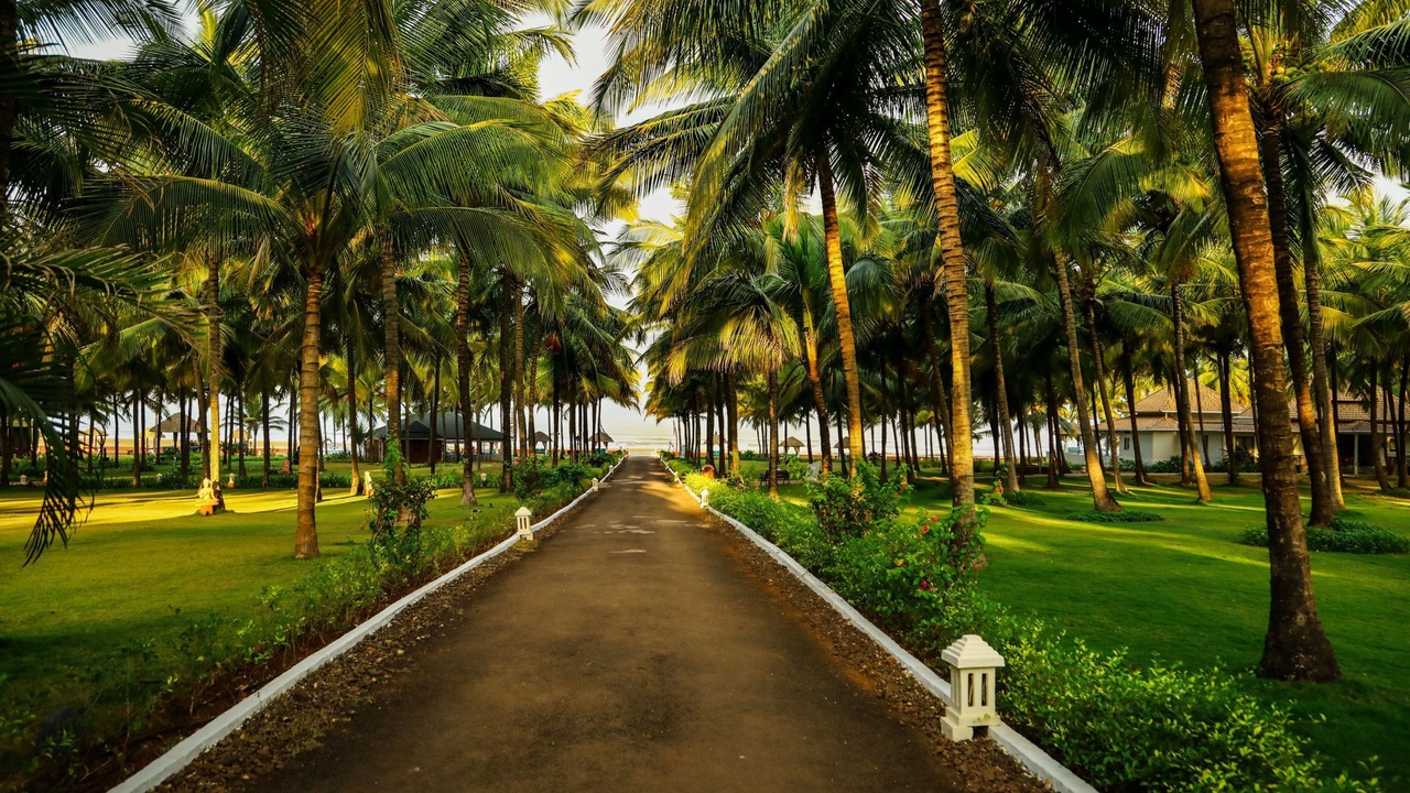 Photo of Outdoor in Ganpatipule