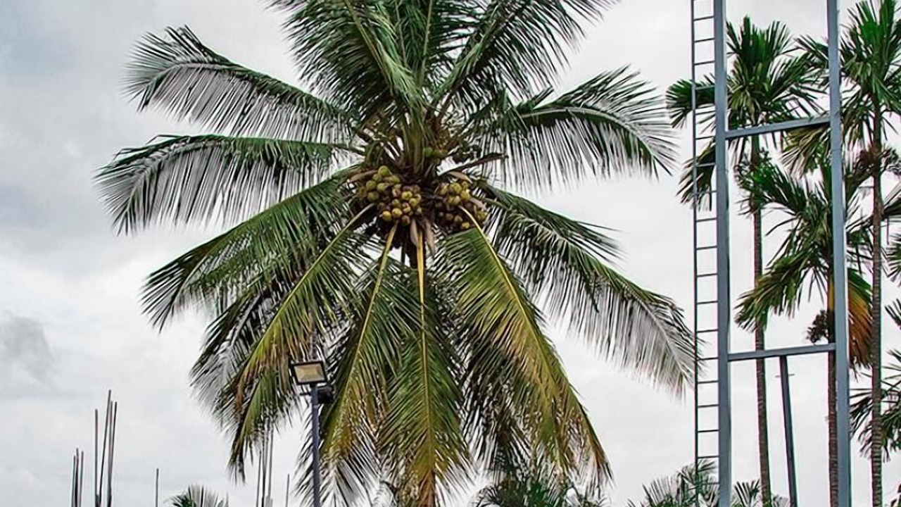 Photo of Outdoor in Bengaluru