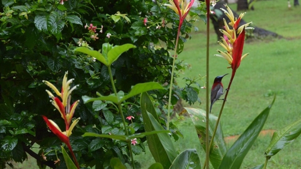 Photo of Outdoor in Dongorim