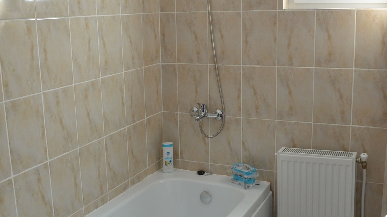 Photo of Bathroom in Iasi