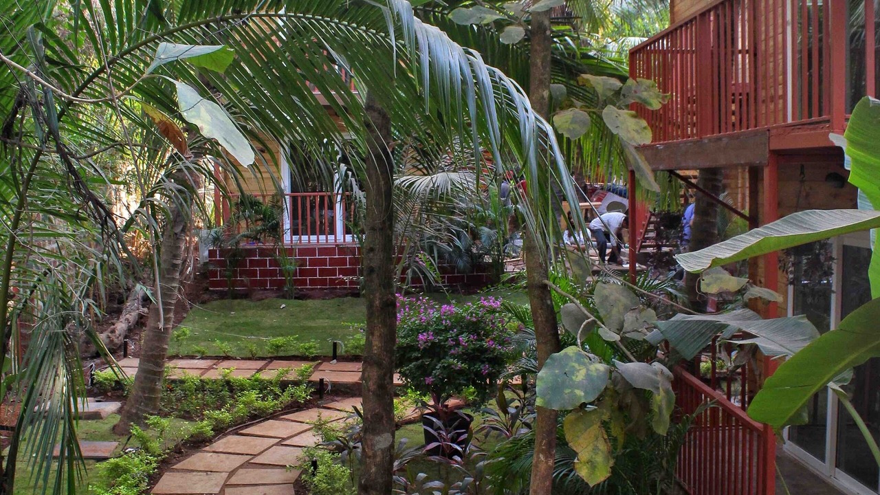 Photo of Outdoor in Mandrem