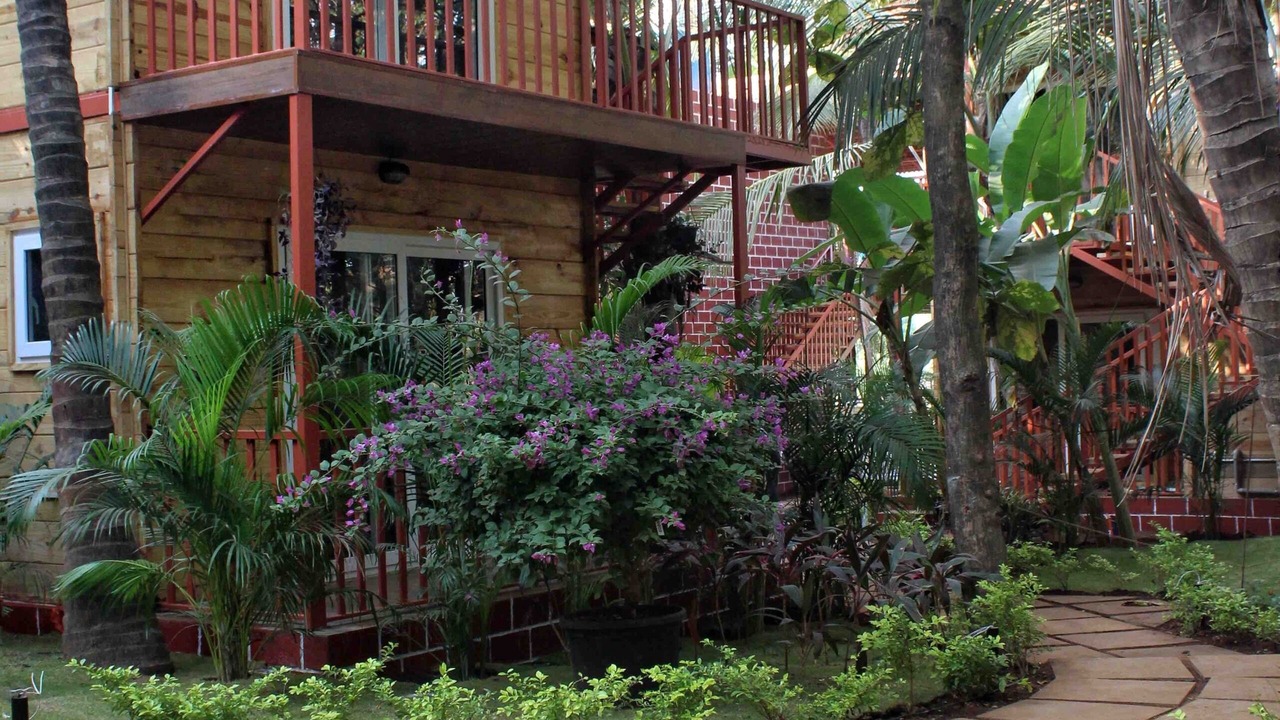 Photo of Outdoor in Mandrem