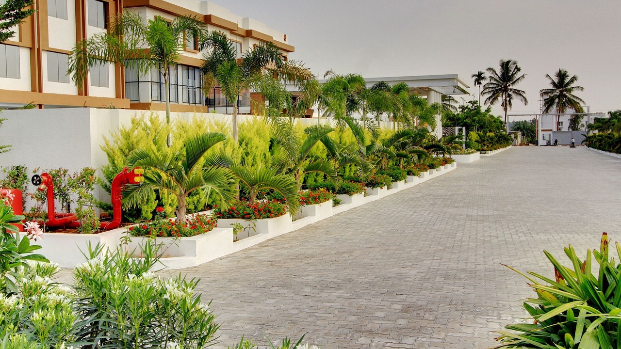 Photo of Outdoor in Narasapura