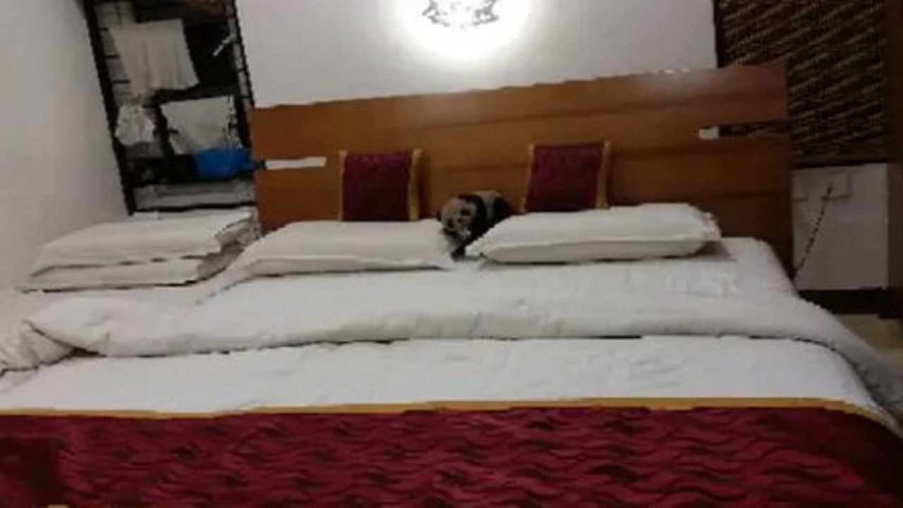 Photo of Bedroom in Chikkamagaluru