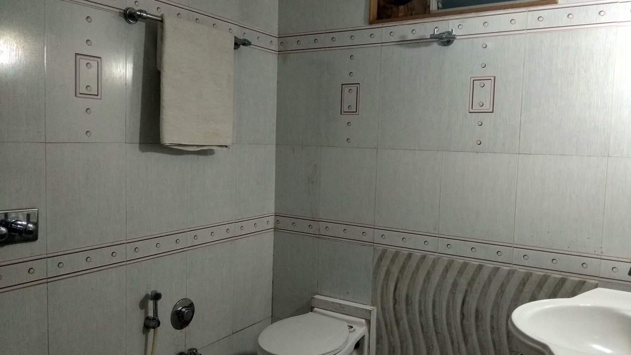 Photo of Bathroom in Hingana