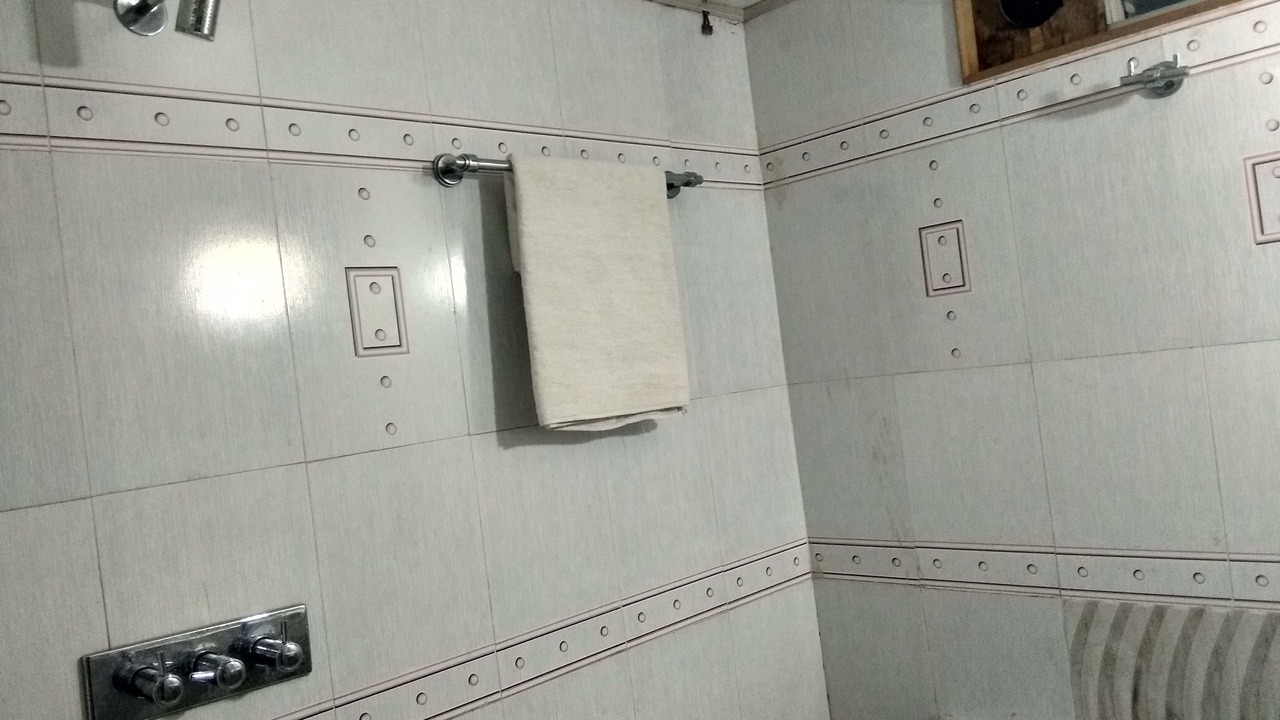 Photo of Bathroom in Hingana