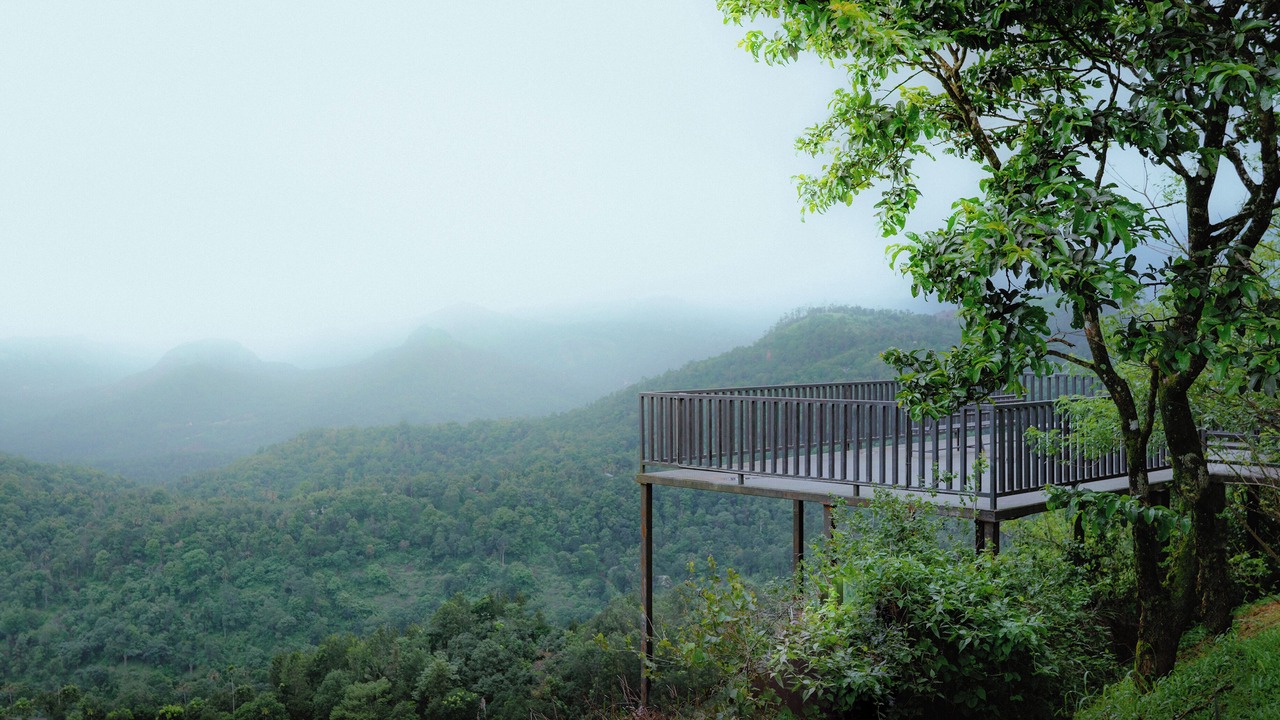 Photo of Outdoor in Devikolam