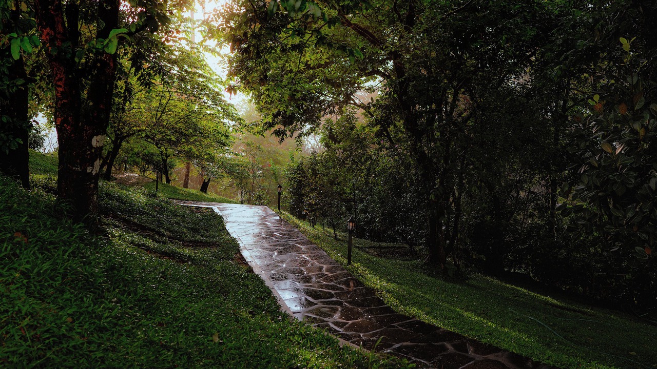 Photo of Outdoor in Devikolam
