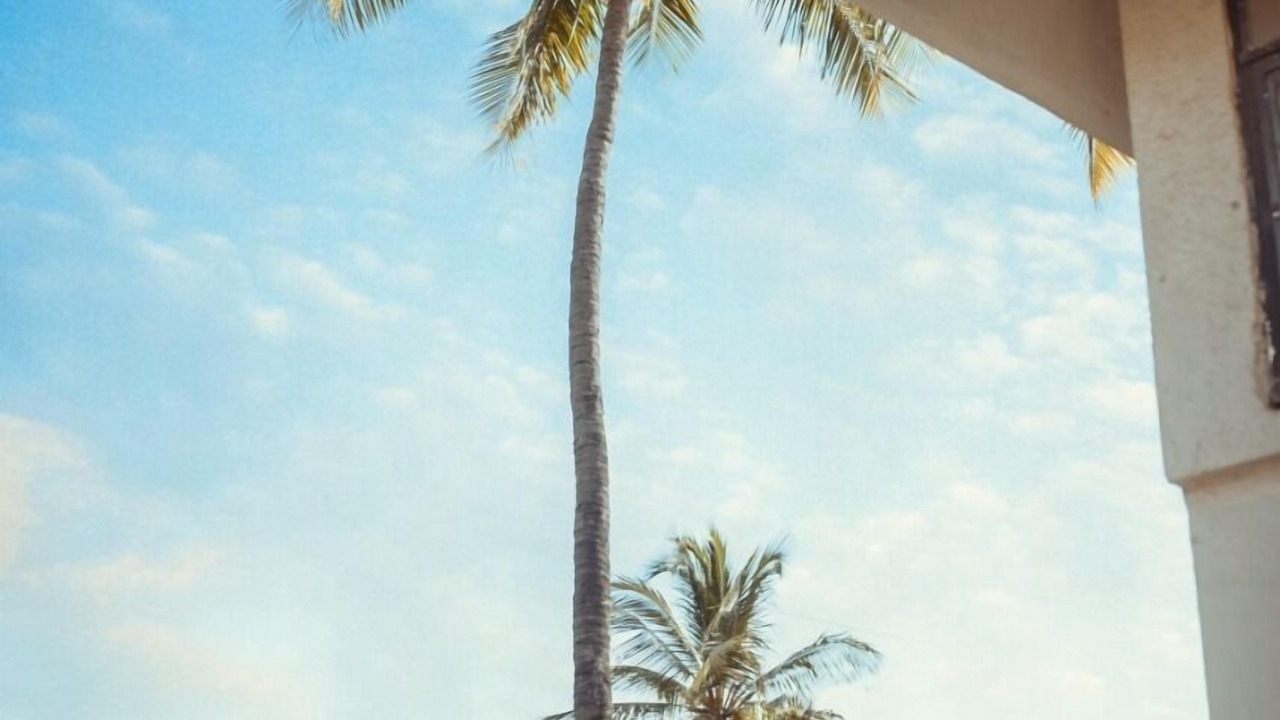 Photo of Outdoor in Alibaug