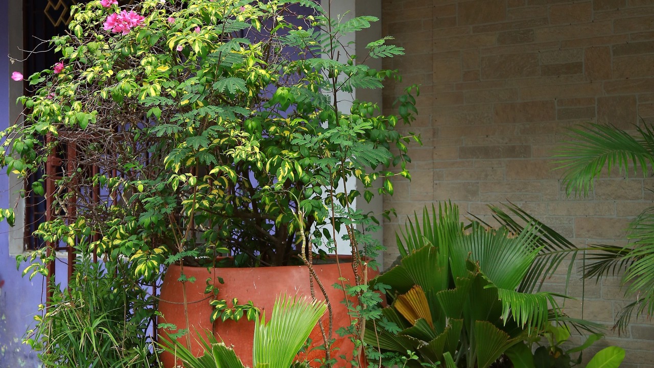 Photo of Outdoor in Heritage Town